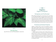 Divine Nature of Plants by Laura Aversano: Paperback; 288 pages / English