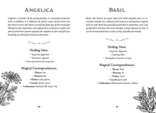 Green Witch's Deck of Magical Herbalism by Arin Murphy-Hiscock: Flashcards; 50 pages / English