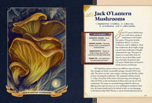 Little Book of Mushrooms by Alex Dorr: Hardcover; 256 pages / English