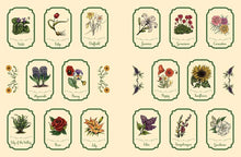 Green Witch's Sticker Book by Arin Murphy-Hiscock: Paperback; 144 pages / English