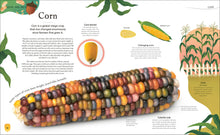 The Secret World Of Plants