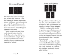 Oriens Animal Tarot Pocket Edition by Ambi Sun: Flashcards; 144 pages / English