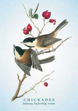 Spiritual Meaning of Birds Oracle Deck by Arin Murphy-Hiscock: Flashcards; 50 pages / English