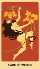 Wild Earth Tarot by Coni Curi: Flashcards; 144 pages / English