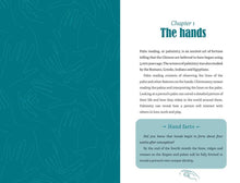 Palmistry by Anna  Comerford: Paperback; 208 pages / English