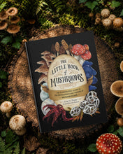 Little Book of Mushrooms by Alex Dorr: Hardcover; 256 pages / English