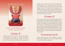 Medicine Woman Oracle by Catherine Maillard: Flashcards; 192 pages / English