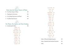 Divine Nature of Plants by Laura Aversano: Paperback; 288 pages / English