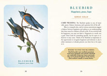 Spiritual Meaning of Birds Oracle Deck by Arin Murphy-Hiscock: Flashcards; 50 pages / English