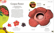 The Secret World Of Plants