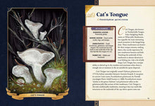 Little Book of Mushrooms by Alex Dorr: Hardcover; 256 pages / English