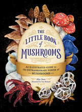 Little Book of Mushrooms by Alex Dorr: Hardcover; 256 pages / English