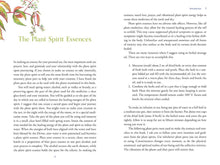 Divine Nature of Plants by Laura Aversano: Paperback; 288 pages / English