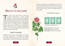 Oracle of The Roses by Cheralyn Darcey: Flashcards; 128 pages / English