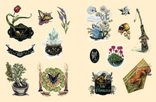 Green Witch's Sticker Book by Arin Murphy-Hiscock: Paperback; 144 pages / English