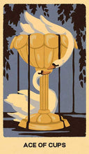 Wild Earth Tarot by Coni Curi: Flashcards; 144 pages / English