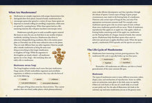 Little Book of Mushrooms by Alex Dorr: Hardcover; 256 pages / English