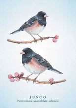 Spiritual Meaning of Birds Oracle Deck by Arin Murphy-Hiscock: Flashcards; 50 pages / English