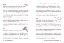 Kitchen Witch by Skye Alexander: Hardcover; 288 pages / English