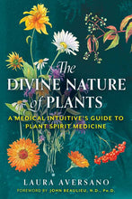 Divine Nature of Plants by Laura Aversano: Paperback; 288 pages / English