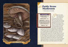 Little Book of Mushrooms by Alex Dorr: Hardcover; 256 pages / English