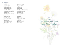 Divine Nature of Plants by Laura Aversano: Paperback; 288 pages / English