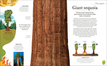The Secret World Of Plants